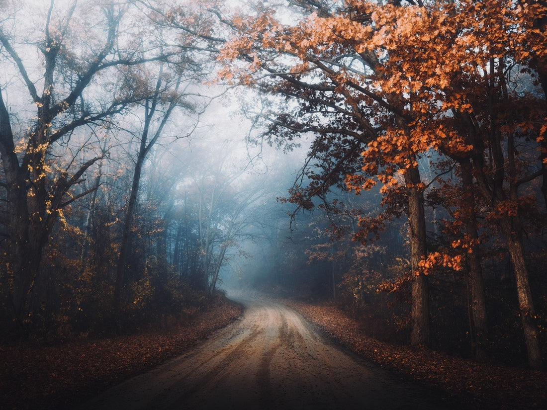 mystic road photo by Bryan Minear / BEVISGEAR